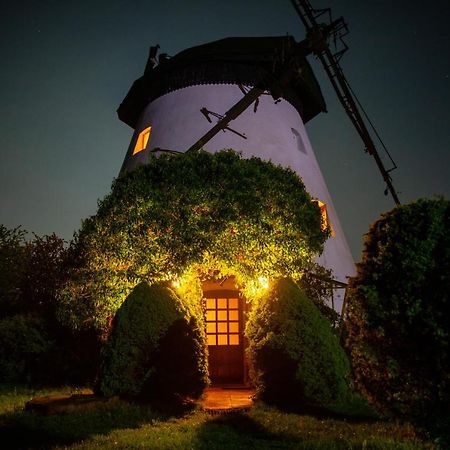 Windmill Vacation Home In Ledzin Near Baltic Sea Niechorze Exteriör bild