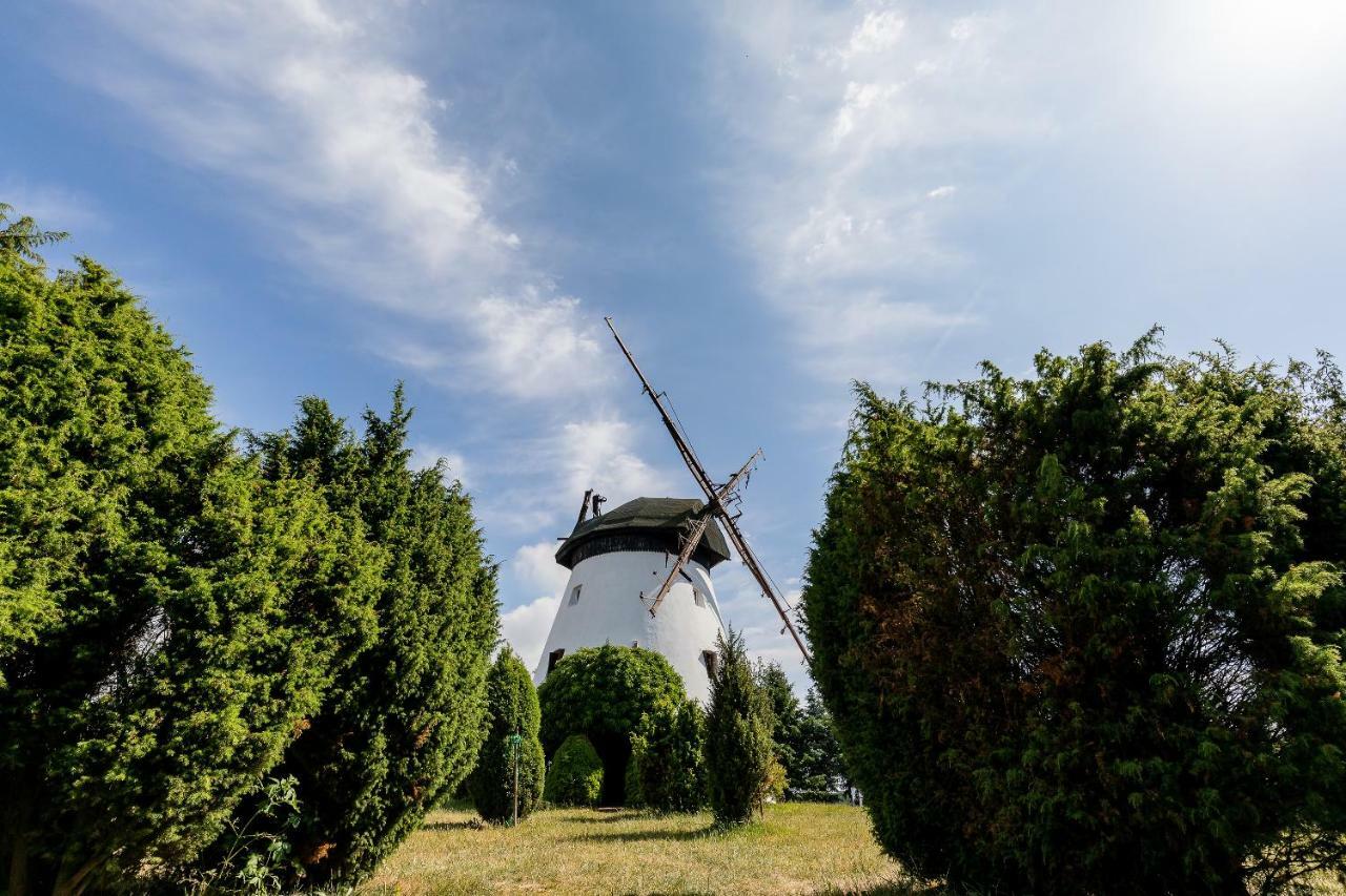 Windmill Vacation Home In Ledzin Near Baltic Sea Niechorze Exteriör bild