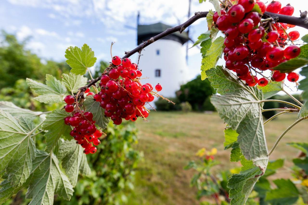 Windmill Vacation Home In Ledzin Near Baltic Sea Niechorze Exteriör bild