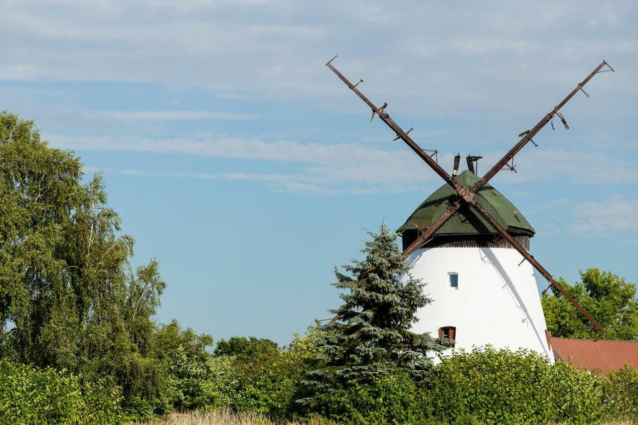 Windmill Vacation Home In Ledzin Near Baltic Sea Niechorze Exteriör bild