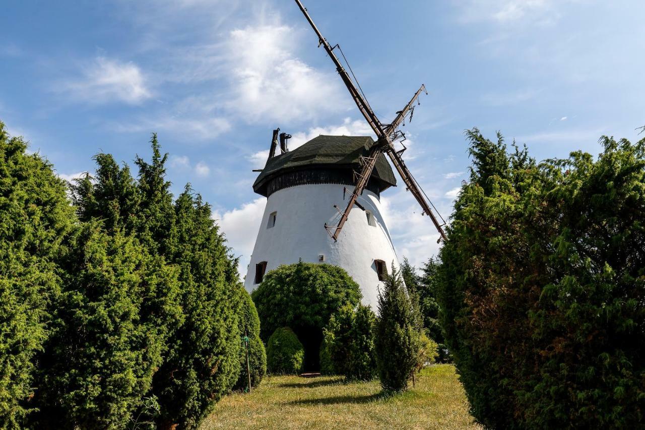 Windmill Vacation Home In Ledzin Near Baltic Sea Niechorze Exteriör bild