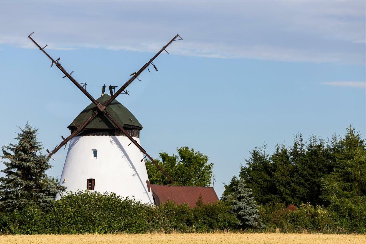 Windmill Vacation Home In Ledzin Near Baltic Sea Niechorze Exteriör bild