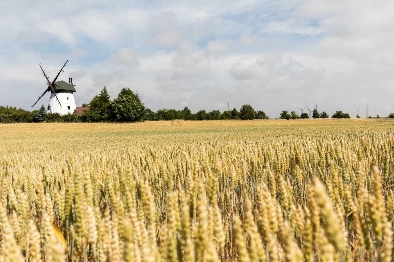Windmill Vacation Home In Ledzin Near Baltic Sea Niechorze Exteriör bild