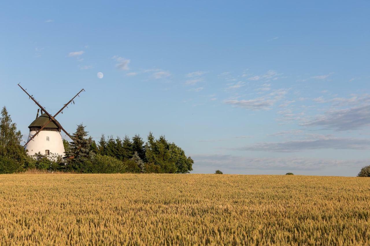 Windmill Vacation Home In Ledzin Near Baltic Sea Niechorze Exteriör bild